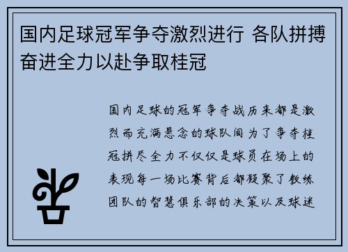国内足球冠军争夺激烈进行 各队拼搏奋进全力以赴争取桂冠